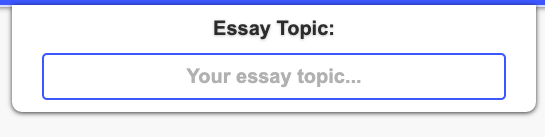 Essay Type card with options displayed