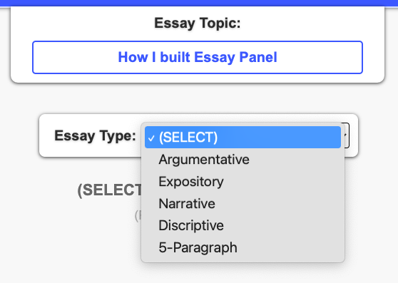 Essay Type card with essay definition